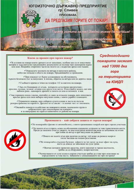 Над 13 000 дка гори засягат средногодишно пожарите на територията на Югоизточно държавно предприятие - Сливен