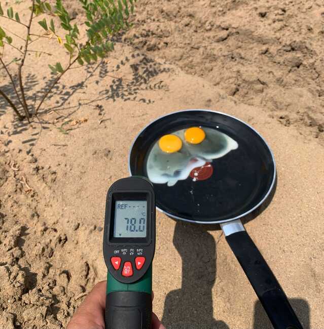 Румънец изпържи яйца без огън на слънце, за да докаже колко е горещо