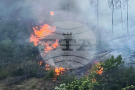 Русе - пожар