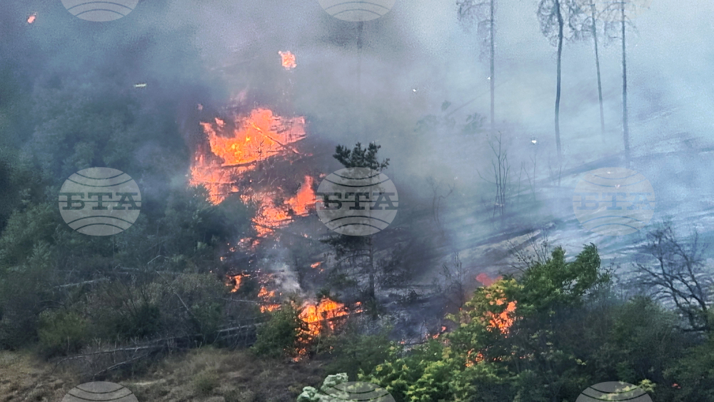 Русе - пожар