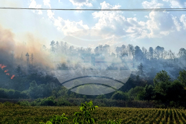 Русе - пожар