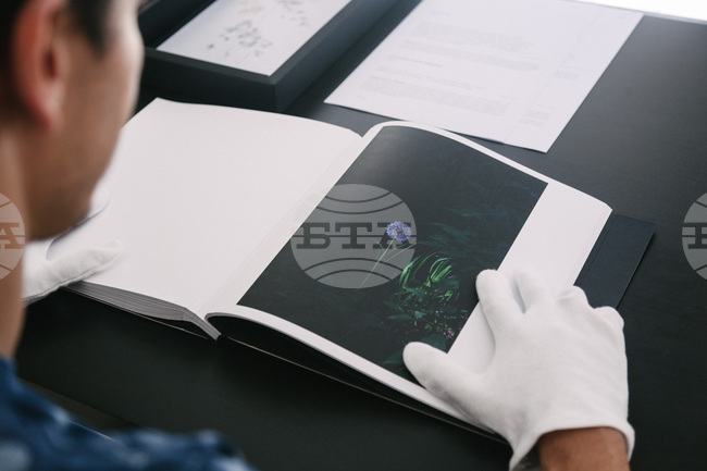 Изложбата Viriditas показва красотата на природата, нейната крехкост и нуждата за опазването й