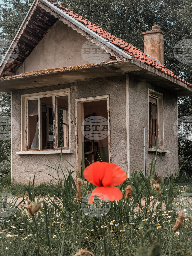 Изложбата "Остров Белене - остров на свободата или остров на робството" показва фотографии на студенти от НБУ