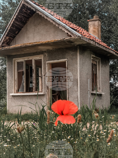 Изложбата "Остров Белене - остров на свободата или остров на робството" показва фотографии на студенти от НБУ
