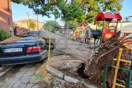 Харманли - буря - щети