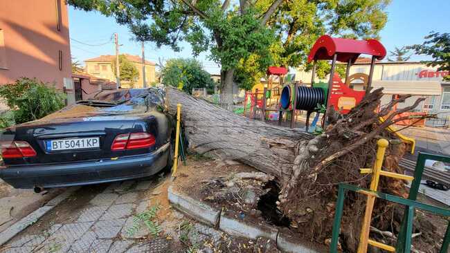 Харманли - буря - щети