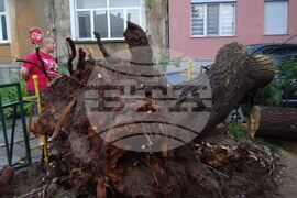 Харманли - буря - щети