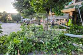 Харманли - буря - щети