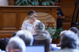 Парламент - заседание