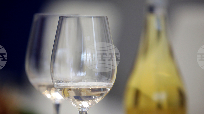 Албания създава „атлас“ на албанското вино – карта на различните лозарски региони