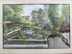 Снимка: Община Сливен