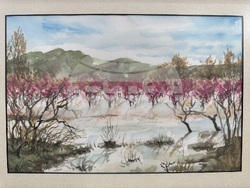 Снимка: Община Сливен