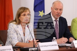 Европейска година на уменията - кръгла маса - Зорница Русинова