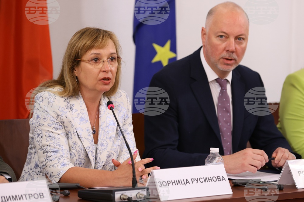 Европейска година на уменията - кръгла маса - Зорница Русинова