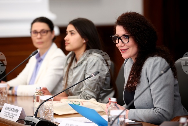 Министерски съвет - Калина Константинова - неправителствен сектор - среща