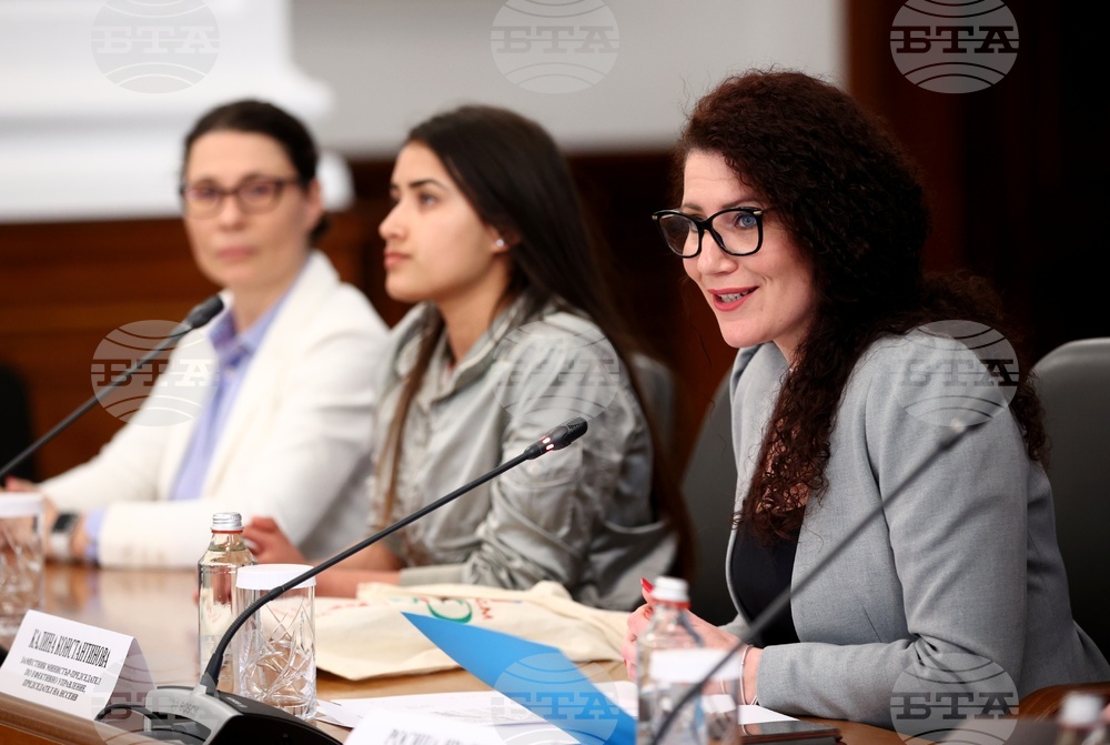 Министерски съвет - Калина Константинова - неправителствен сектор - среща