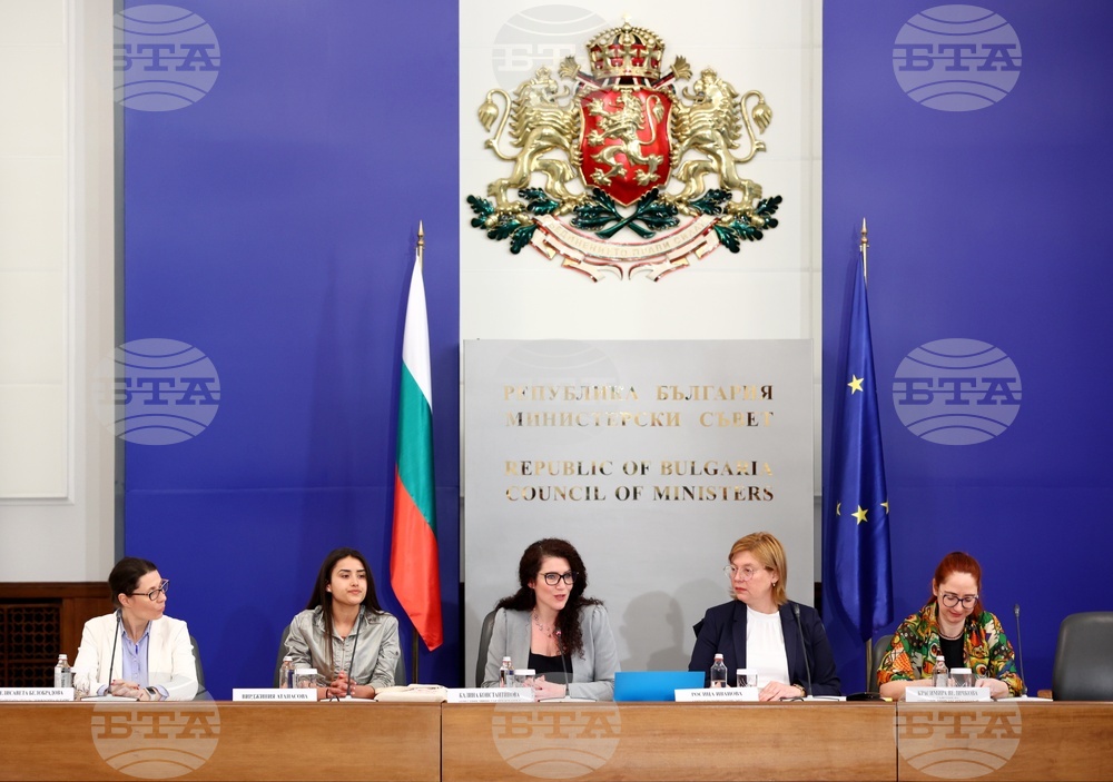 Министерски съвет - Калина Константинова - неправителствен сектор - среща