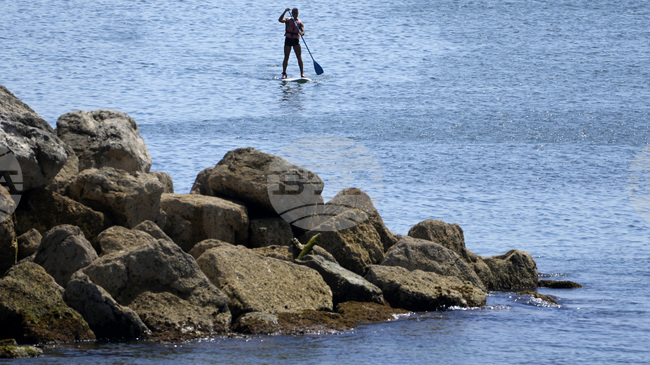 „Райънеър“ е обект на разследване за корупция на Азорските острови, съобщиха местните власти