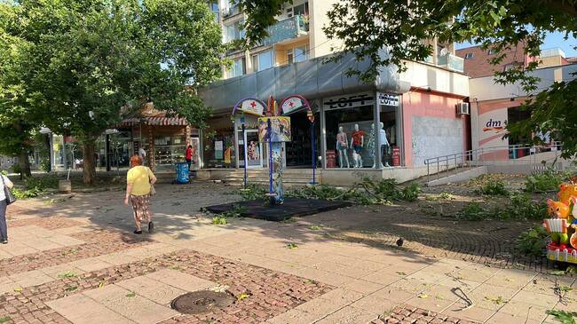 Екипи на дирекция "Аварийна помощ и превенция" са се отзовали на 10 сигнала за пречупени клони и дървета в столицата