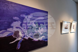 Варна - „Над повърхността“ - изложба