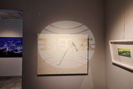 Варна - „Над повърхността“ - изложба