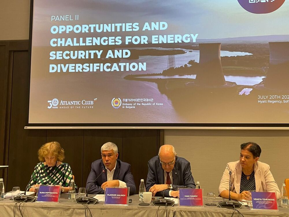 Владимир Малинов: Полагането на офшорната тръба на терминала в Александруполис ще завърши до края на юли