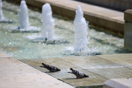 Благоевград - летни горещини