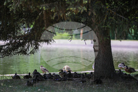 Благоевград - летни горещини