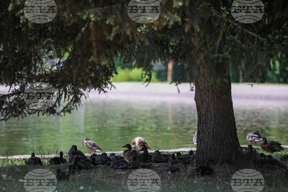 Yellow Code for Hot Weather Issued across Bulgaria