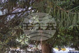 Благоевград - летни горещини