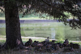 Благоевград - летни горещини