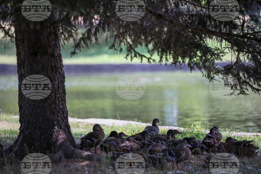 Благоевград - летни горещини