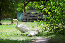 Благоевград - летни горещини