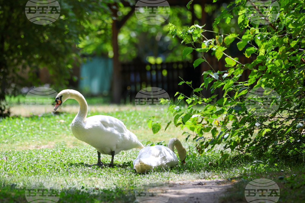 Благоевград - летни горещини