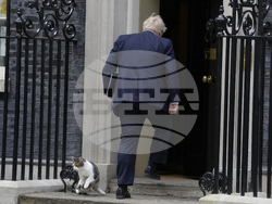 Britain Germany Politics