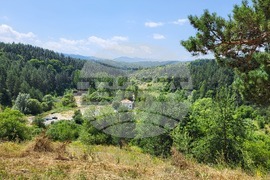 Село Шипочане - "Свети Пророк Илия" - водосвет - курбан