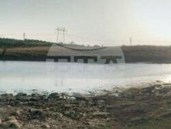 Снимка: МОСВ