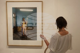 Chrysalis - изложба