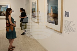 Chrysalis - изложба