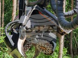 Снимка: Югозападно държавно предприятие ДП Благоевград 