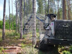 Снимка: Югозападно държавно предприятие ДП Благоевград 