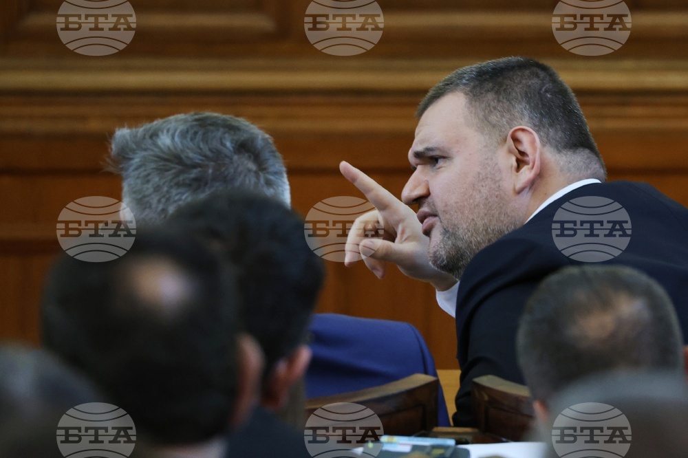 Парламент - заседание - Делян Пеевски