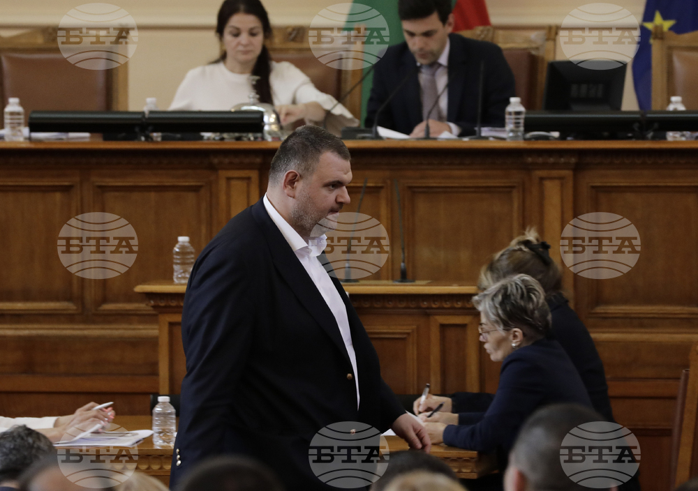 Парламент - заседание - Делян Пеевски