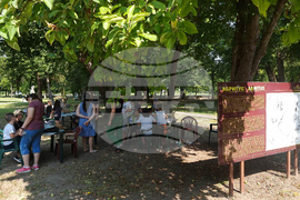 Разград - музей - лятна програма