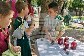 Разград - музей - лятна програма