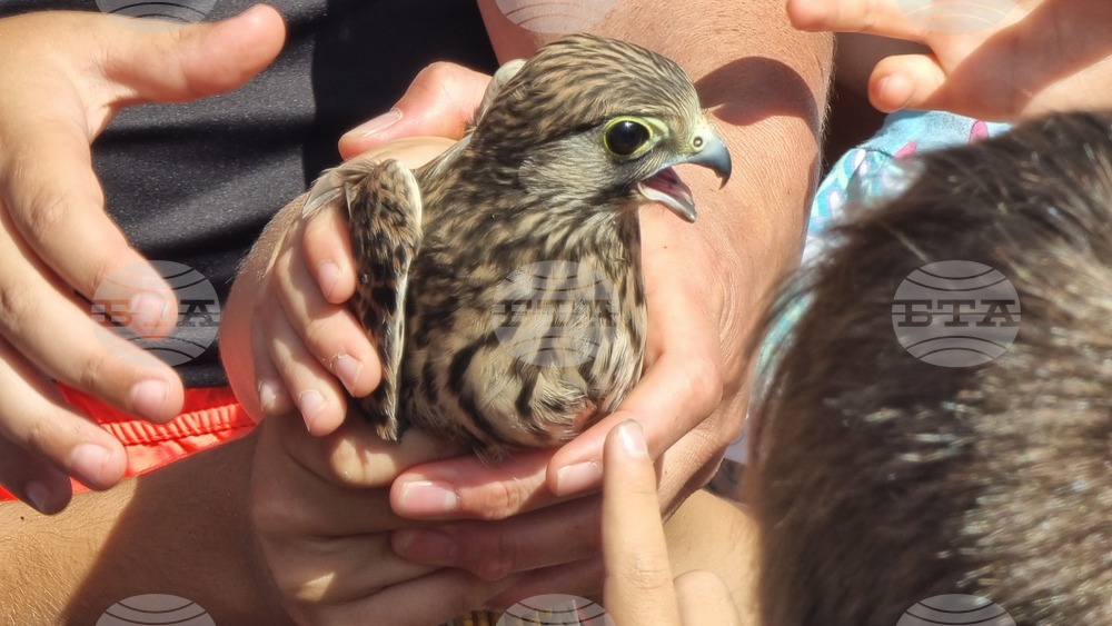 Габрово - Узана поляна фест