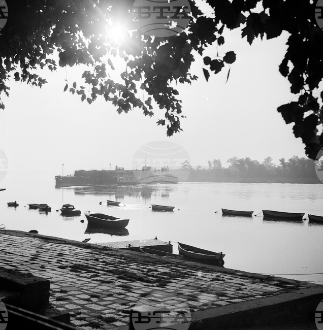 Красивият Дунав при Видин