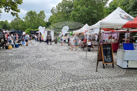 Румъния - ASIA FOOD FESTIVAL