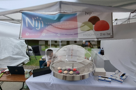 Румъния - ASIA FOOD FESTIVAL