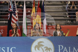 Художествена гимнастика - Световна купа